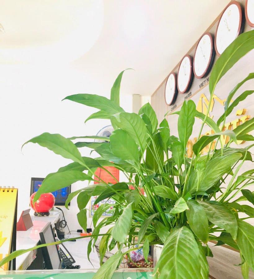 Long Vu Hotel 랑선 외부 사진